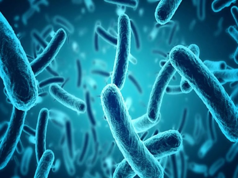 Bacterial infections the ‘second leading cause of death worldwide’: Lancet